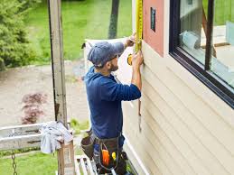 Best Siding Painting and Refinishing  in Holbrook, AZ